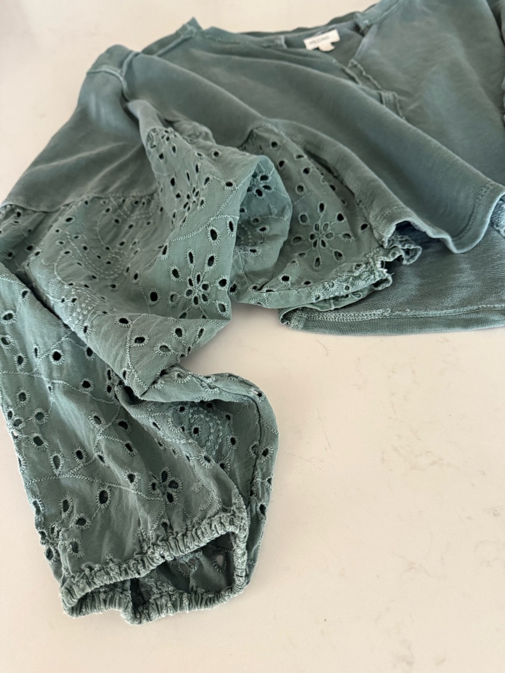 PILCRO for Anthropologie - Eyelet Long-Sleeve Cropped Top in Sage Green - Picture 7 of 7